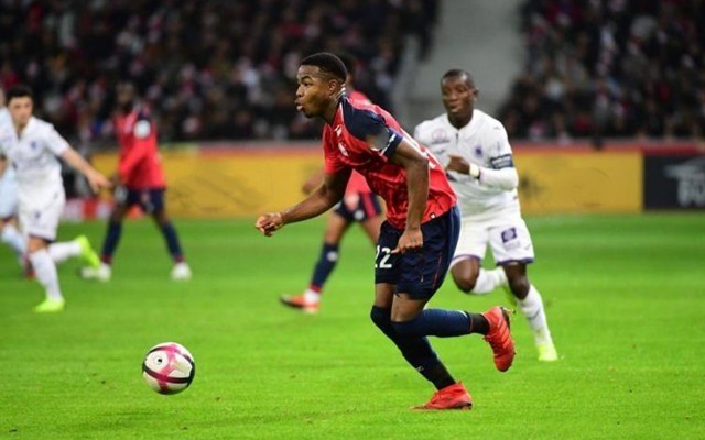 的真实写照 的真实写照