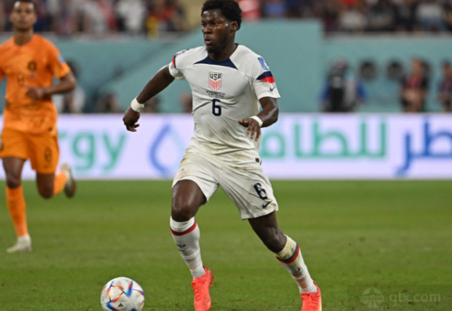 又一波的嘲 又一波的嘲