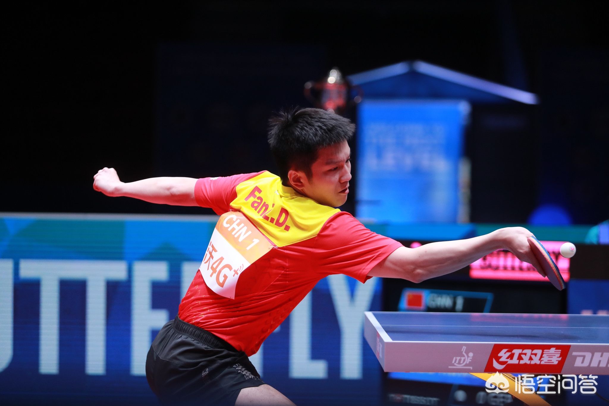 外媒会把上 外媒会把上