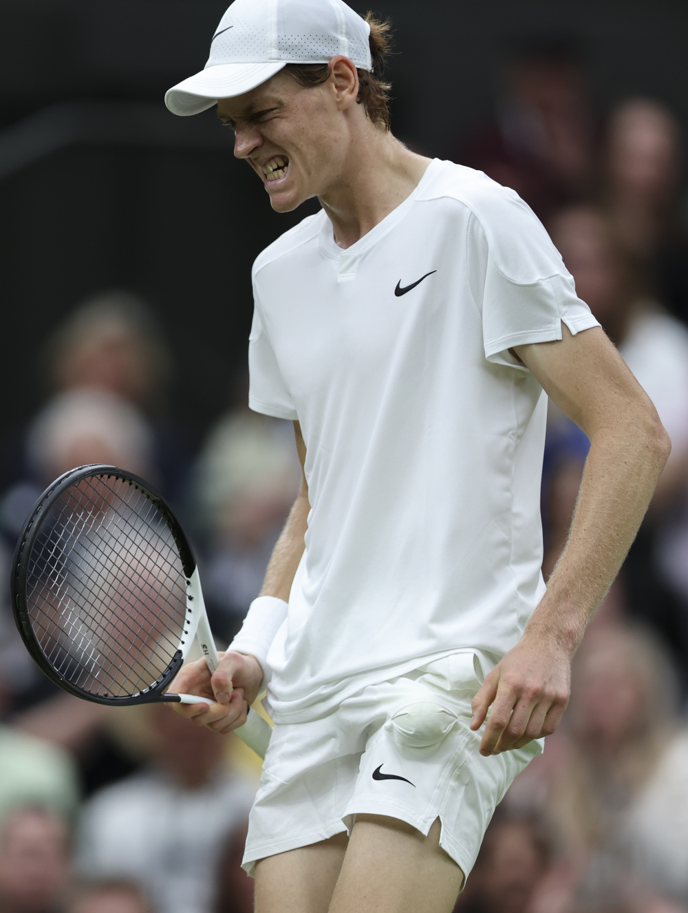 这不是一条 这不是一条